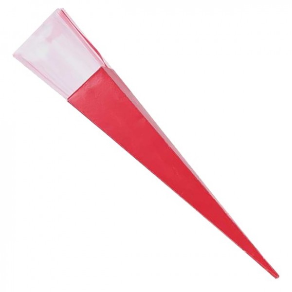 Rosenhülle mit rotem Band
