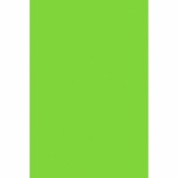 Klassische Folien Tischdecke Kiwigrün 137x247cm