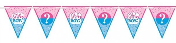 Gender Reveal Wimpelkette 4,5m