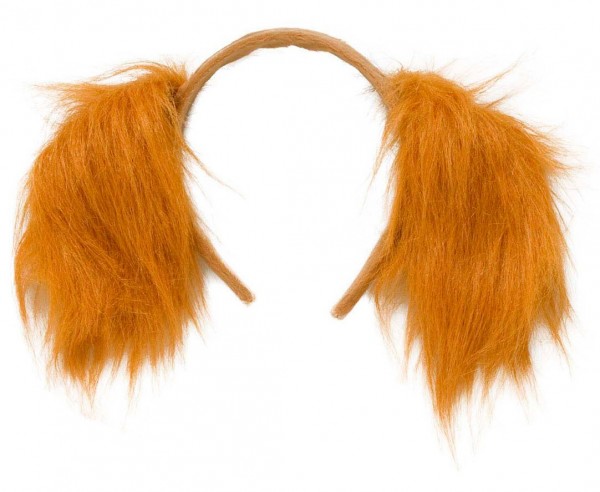 Cocker Spaniel Ohren Bruno