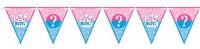 Gender Reveal Wimpelkette 4,5m
