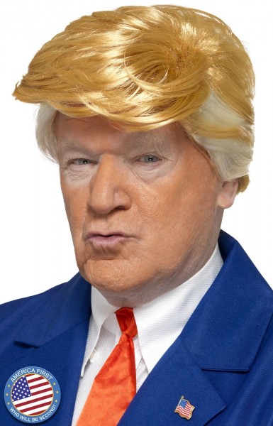 Mr President Herrenperücke