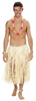 Luau Hawaiiketten Set