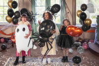 Vorschau: Halloween City Spinnen Ballon 1,01m x 60cm