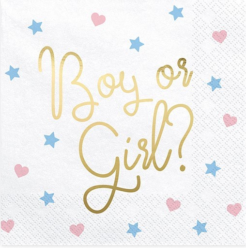 20 Baby Boy or Girl Servietten 33cm
