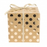 FSC Lovely Dots Geschenkpapier natur