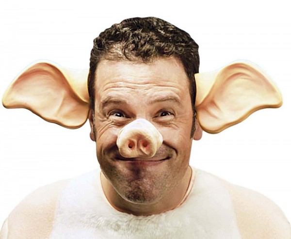 Große Schweine Ohren