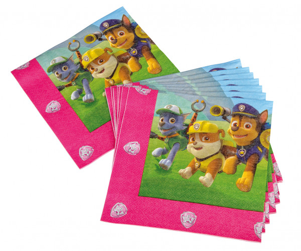 Paw Patrol Partypaket Skye 39-teilig 3
