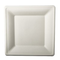50 Zuckerrohr Teller Aida weiß 26 x 26cm