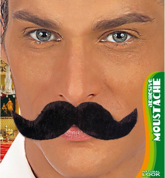 Professor William Schnauzer Schwarz