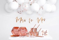 Vorschau: Shiny Bride Partykoffer 60-teilig