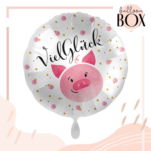 Balloha Geschenkbox DIY Viel Glück Schweinchen XL