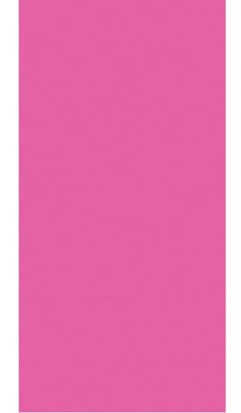 12 Papier Geschenktüten in Pink 24cm x 13cm