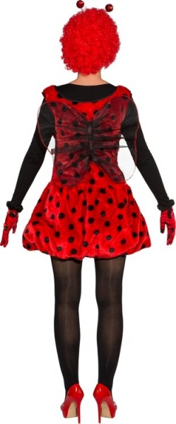 Süßes Marienkäferkleid Mit Flügeln 2