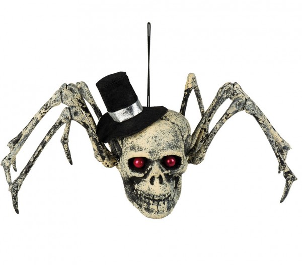 Schauriger Spinnen Totenkopf