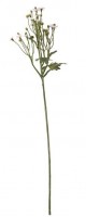 Margeriten Strauß 64cm