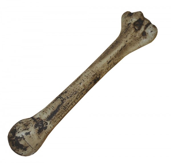 Alter Knochen 27cm