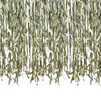 Botanical Blätterband Vorhang