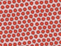 Weihnachtsstern Blumen Geschenkpapier 2m x 70cm