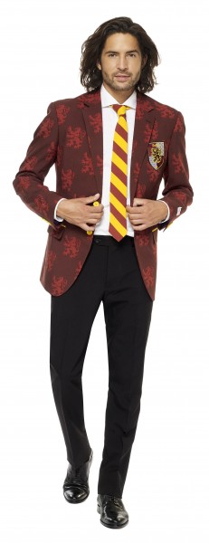 OppoSuits Partyanzug Harry Potter
