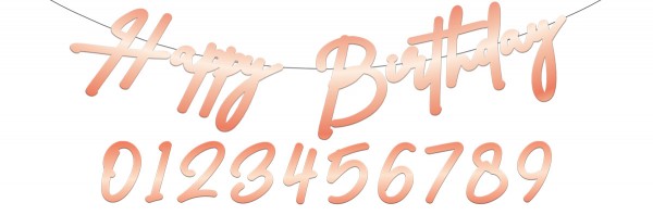 DIY Rosy Blush Birthday Girlande 1m
