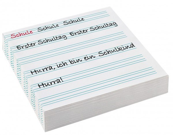 20 Endlich Schule Servietten 33cm