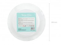 Vorschau: 6 Candy Party Pappteller mint 18cm