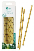 30 Eco Papier Trinkhalme Bambus
