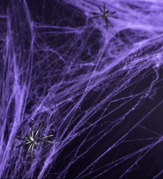 Violette Horror Spinnweben 60g