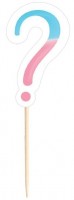 24 Boy or Girl Party Picker 8,8cm