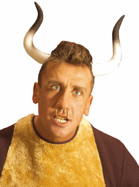 Geschwungene Stierhörner