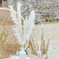 5 Country Wedding Pampasgräser 90cm