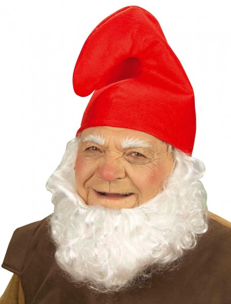 Zwergenmütze in Rot