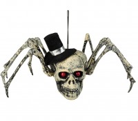 Schauriger Spinnen Totenkopf