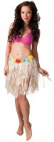 Hawaii Waikiki Rock 45cm
