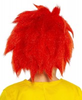 Förhandsgranskning: Pumuckl barnperuk