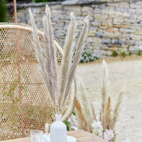 5 Country Wedding Pampasgräser dunkel 90cm