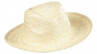Hawaii Urlaub Strohhut