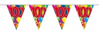 Spectacular 100th Birthday Wimpelkette 10m
