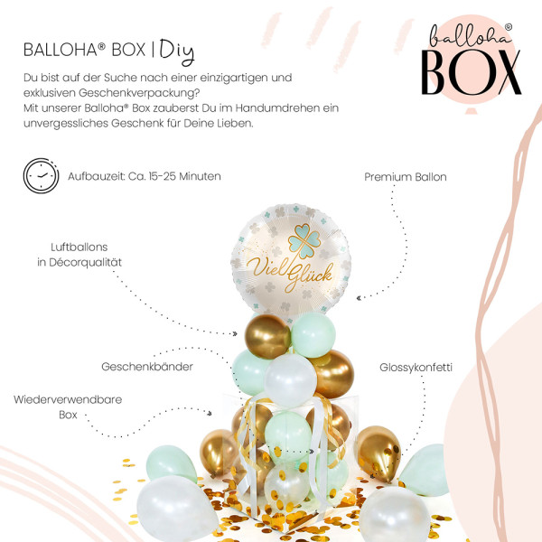 Balloha Geschenkbox DIY Viel Glück Kleeblatt XL 3