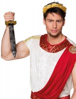 48cm Langes Römer Schwert