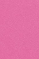 Kunststoff Tischdecke Mila rosa 1,37 x 2,74m