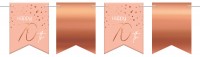 Rosy Blush 70th Birthday Wimpelkette 6m