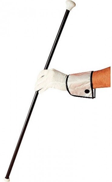 Klassischer Tanzstock mit Quietsch-Effekt 81cm