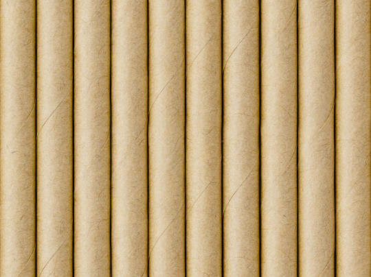 10 Natural Touch Strohhalme 19,5cm