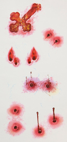 Vampir Bissspuren Tattoos 6 Motive
