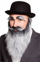 Langer Mysteriöser Bart Mit Augenbrauen