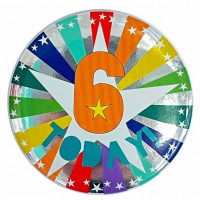 6. Geburtstag Button 6cm