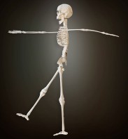 Skelett Dekofigur 40cm