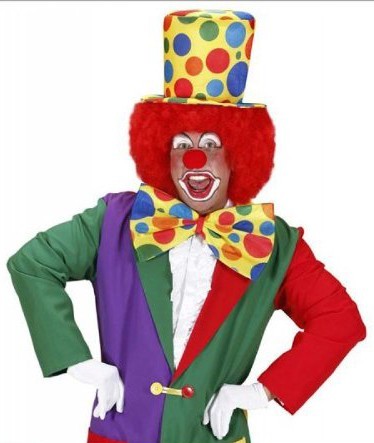 Kunterbunte Riesen Clownsfliege 2